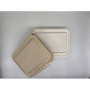 Renewable 9x6 Inch 39g Biodegradable Takeout Containers