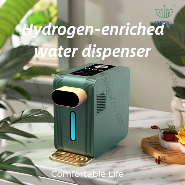 Quality Stainless Steel Housing WEIZI H2 Water Machine All In One For Household wholesale