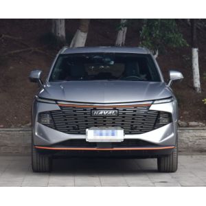 China Haval XY 2023 2.0T Zhizun 4 WD Version Gasoline 5 Door 5 Seats Compact SUV on sale