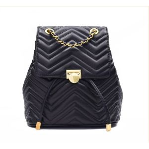 Cheap Water Ripple Ladies Waterproof Backpack With Handles On Top 24cm 16cm for sale