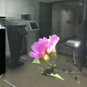 China Shop Window Holographic Projection Film High Contrast 100um For Advertising on sale