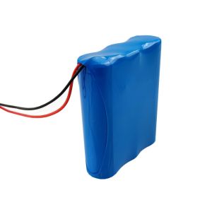 2600mAh Sanyo 18650 Lithium Rechargeable Battery 11.1 Volt