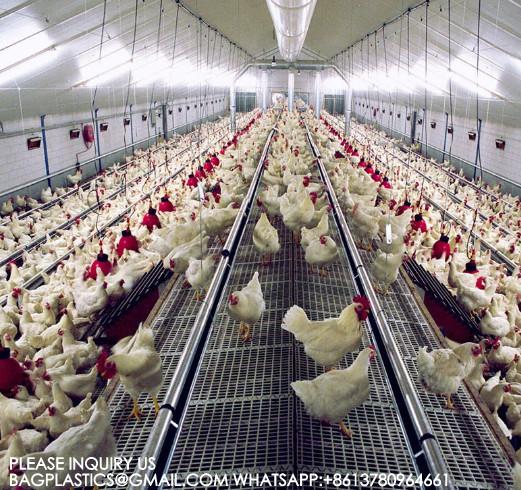 Quality Spring Auger Feed Pan 0.75kw Automated Poultry Feeding System Poultry Spring Auger Feed Pan wholesale