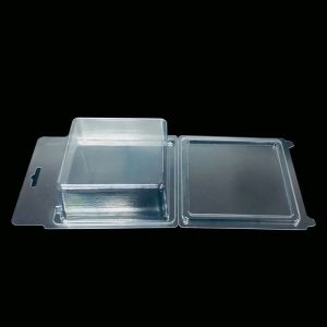 PET Plastic Box Clamshell Blister Packaging for Children's Clothing Printing