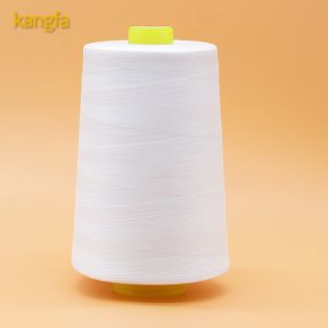 Directly Tkt120 100% Spun Polyester/cotton Sewing Thread 40/2 Free Sample
