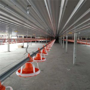 Automatic Feeders Farm Equipment for Poultry Chickens,Poultry Feeder Pan for