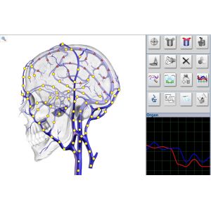 Black Virtual Scanning High Accuracy Metatron Nls 4025 Hunter Body Analyzer