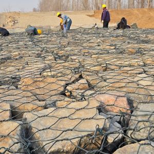Protect Your Project With PVC Coated Gabion Wire Mesh For Sustainable Riverbank