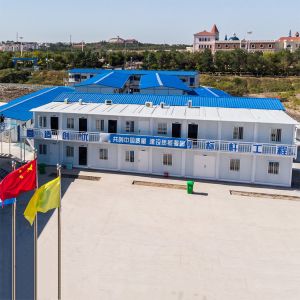 Granny Flat Pack Container Home With Customized Color and OEM/ODM for Container