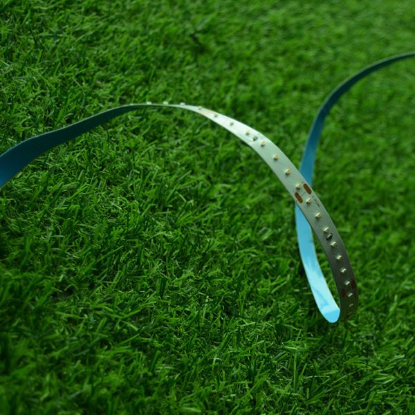 Colorful 2110 Waterproof Strip lights outdoor lighting LED Strip Light for