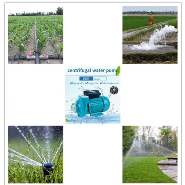 centrifugal water pump