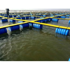 PE/Nylon Fish Farming Cage with 4sq. m to 200sq. m Capacity 6m Depth and 12
