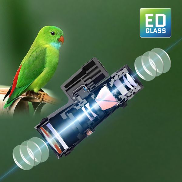 12X50 ED Glass Binoculars Waterproof Fogproof High Definition For Wild Prospect Exploration