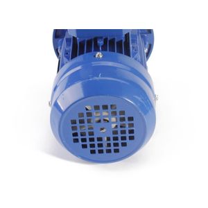 Three Phase 0.75KW 1HP Asynchronous Induction Motors H Insulation