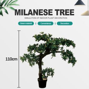 Cheap Potted Pine Tree for Home Decoration for sale