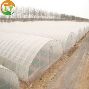 Double Layer Commercial Tunnel Greenhouse with Top Height of 2.8m-3.5m Double