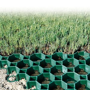 Heavy-Duty HDPE Grass Paver Grid for Permeable Ground Reinforcement, Driveways, Parking Lots, Landscaping, and Lawn Stabilization