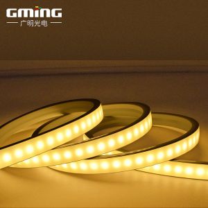 Neon Silicone Tube Light Strip 5*13MM Single Color Dual Color Temperature 2835