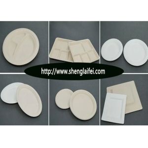 3 Compartment Biodegradable Disposable Microwave Fast Food Container