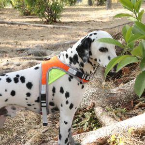 Customized Hot selling Pet Leash Set With Reflective Strips Comfortable