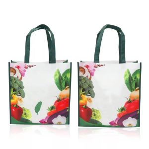 Custom PP Woven Non Woven Shopping Bags with Customized Printing for Promotion