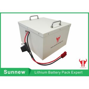 Low-speed Electric Vehicle Lithium Battery Pack, 24V 100Ah, EV Power NCM Polymer