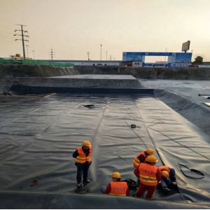 0.5mm 1.5mm 2mm Thickness HDPE Geomembrane for Lake Farm Fish Tank Film Pond