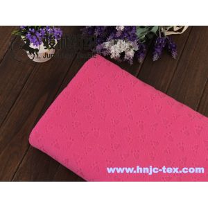 Single side embossed pattern polar fleece/coral fleece fabric for pajama and