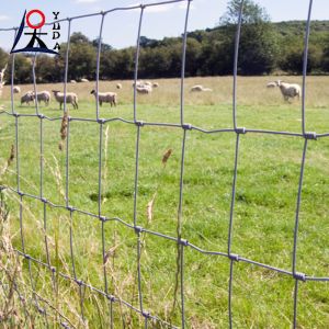 High Tensile Field Fence Galvanized Wire Woven Fixed Knot Goat Cattle Mesh