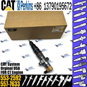China Fuel Injector Assembly 387-9438 10R-4664 53L-8062 553-2592 557-7633 557-7637 on sale