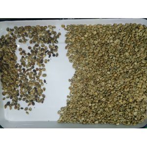 China Customized Food Safety Optical Color Sorter CCD Color Sorting Machine For