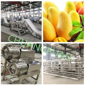 Cheap Capacity Sea Transport Fully Automatic Plc Mango Pulp Processing Line for sale