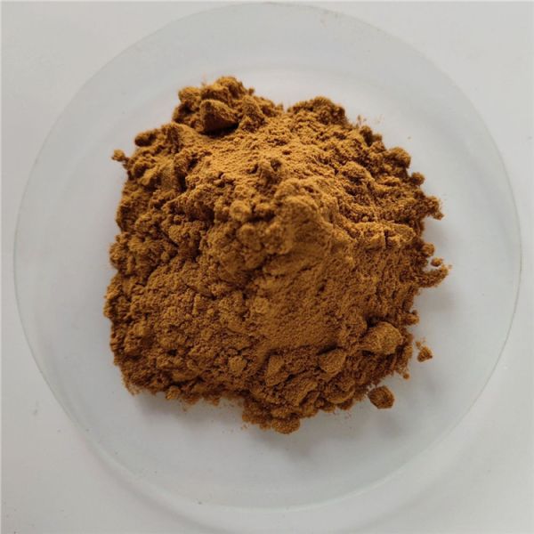 Quality Costus Root Extract For Anti-inflammatory Analgesic wholesale