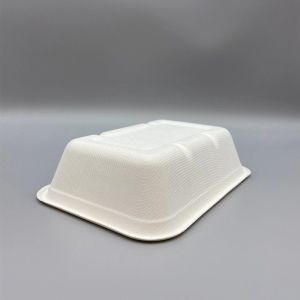 Harmless Sustainable Sugarcane Bagasse Box Take Out Containers Kitchenware