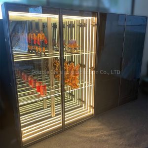 Professional Customized Thickness Display Case for Commercial Space DC12V/AC110