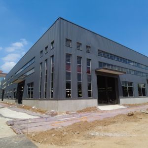 Cheap Prefab Steel Structure Warehouse Building with Large Span and Crane for sale