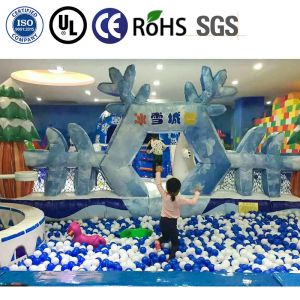 Custom High Capacity Indoor Playground with OEM/ODM Support and Multiple Frame