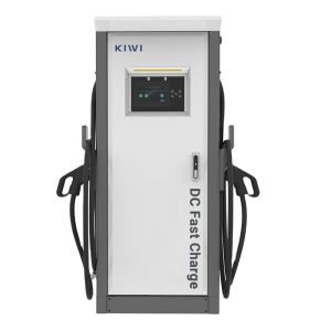 China 60KW OCPP 1.6J/1.5J CCS2 GBT Chademo Electric Vehicle Charger Level 3 DC EV Quick Charger on sale