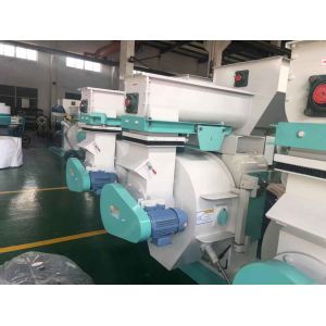 Pine Complete Biomass Pellet Press Machine 6mm 3-4t/h / Russia Pellet Machine