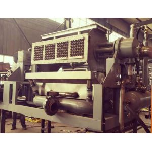 PLC Control Rotary Type Egg Carton Maker Egg Carton Machine With Egg Tray Drying