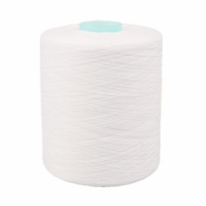 Cheap 40/2, 40/3, 60/2, 60/3 Virgin Raw Spun 100% Polyester Yarn for Sewing Clothing for sale