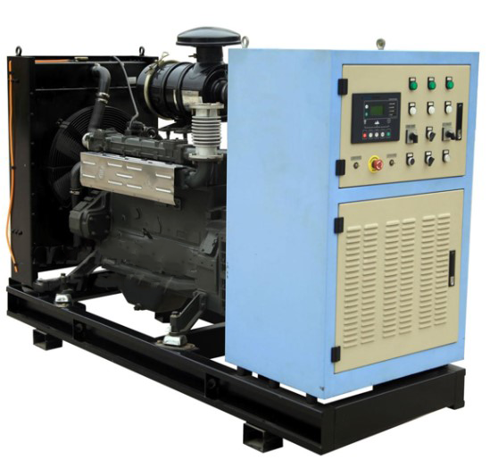 16kw 20kw 30kw Electric Genset for Biogas and Natural Gas Powered by Ricardo Engine