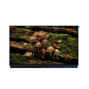 NEW DV180FHM-N10 18.0 inch 1920*1080 LCD Screen Display Screen