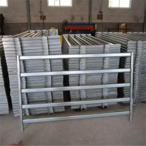 Galvanized 12 Foot Livestock Farm Fence Gates OEM ODM Available