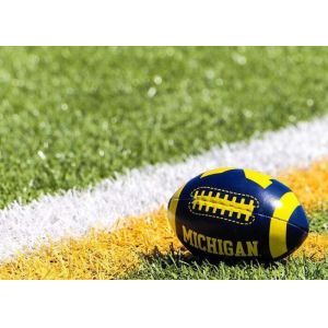 Rugby Field Artificial Turf Grass Durable With 10mm~60mm Pile Height