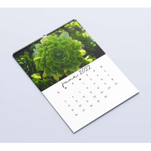 Matte Lamination Desk Calendar Printing 600-1000gsm Monthly Wall Calendars