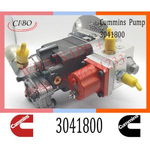 Cummins Diesel M11 ISM11 Engine Fuel Injection Pump 3041800 3075340 3009942
