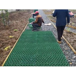 Villa Driveway Grid Stabilizing HDPE Plastic Hexagonal Grass Eco Grid Paver