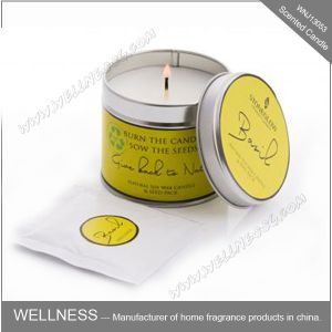 Essential Oil Colorful Scented Tin Candles Handmade With Customized Fragrance