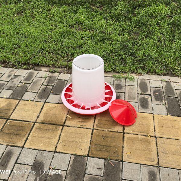 Easy Chicken Fowl Feeding Tool For Broiler Breeder Chicken Thickening And